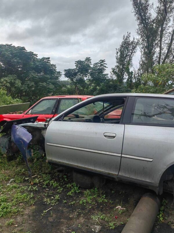 437601062_961554545974133_1813021300706669935_n