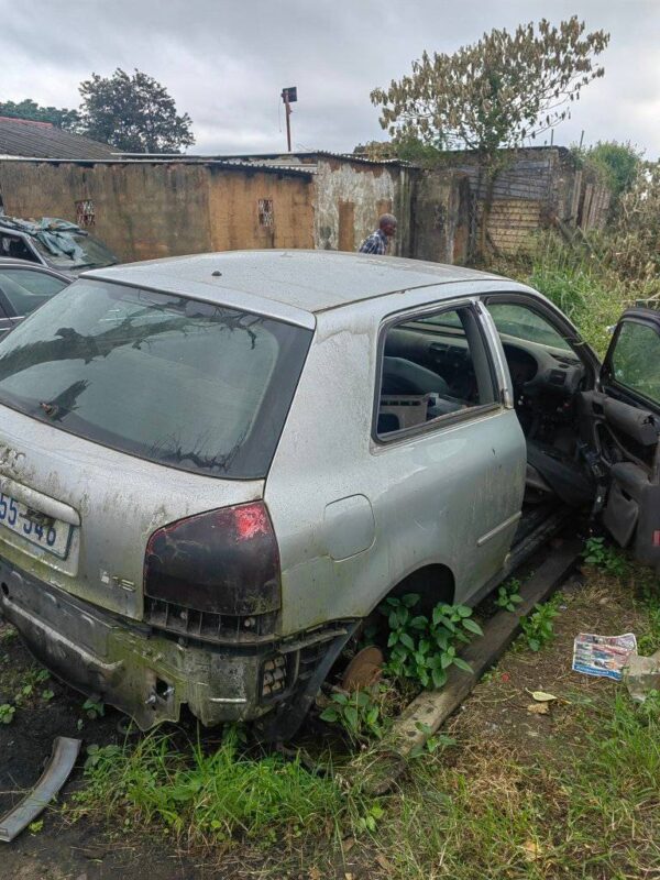 439146556_961554559307465_8721884019247772553_n