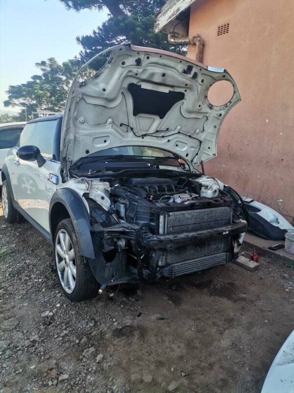 475204320_1179491710847081_1757538587298675203_n