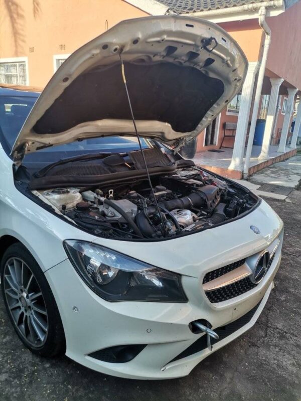 475252963_1179491747513744_5815613757738125468_n